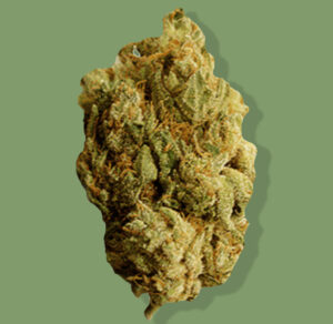 Loud Bud